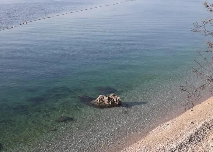 Lavanda קוסטרנה